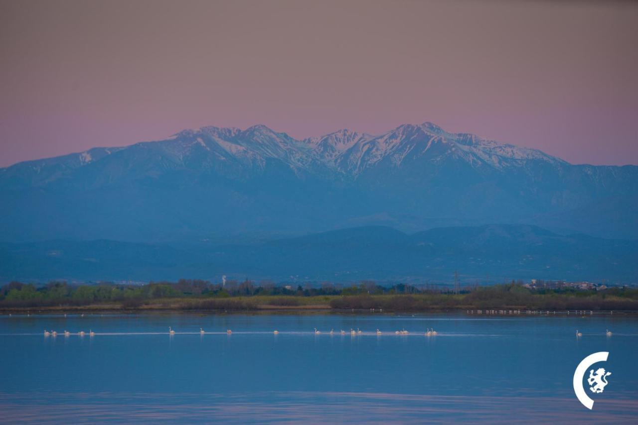 "Chill" Magnifique Vue Sur La Mer Et Le Port Au Coeur De La Ville En Premiere Ligne Canet-en-Roussillon Zewnętrze zdjęcie